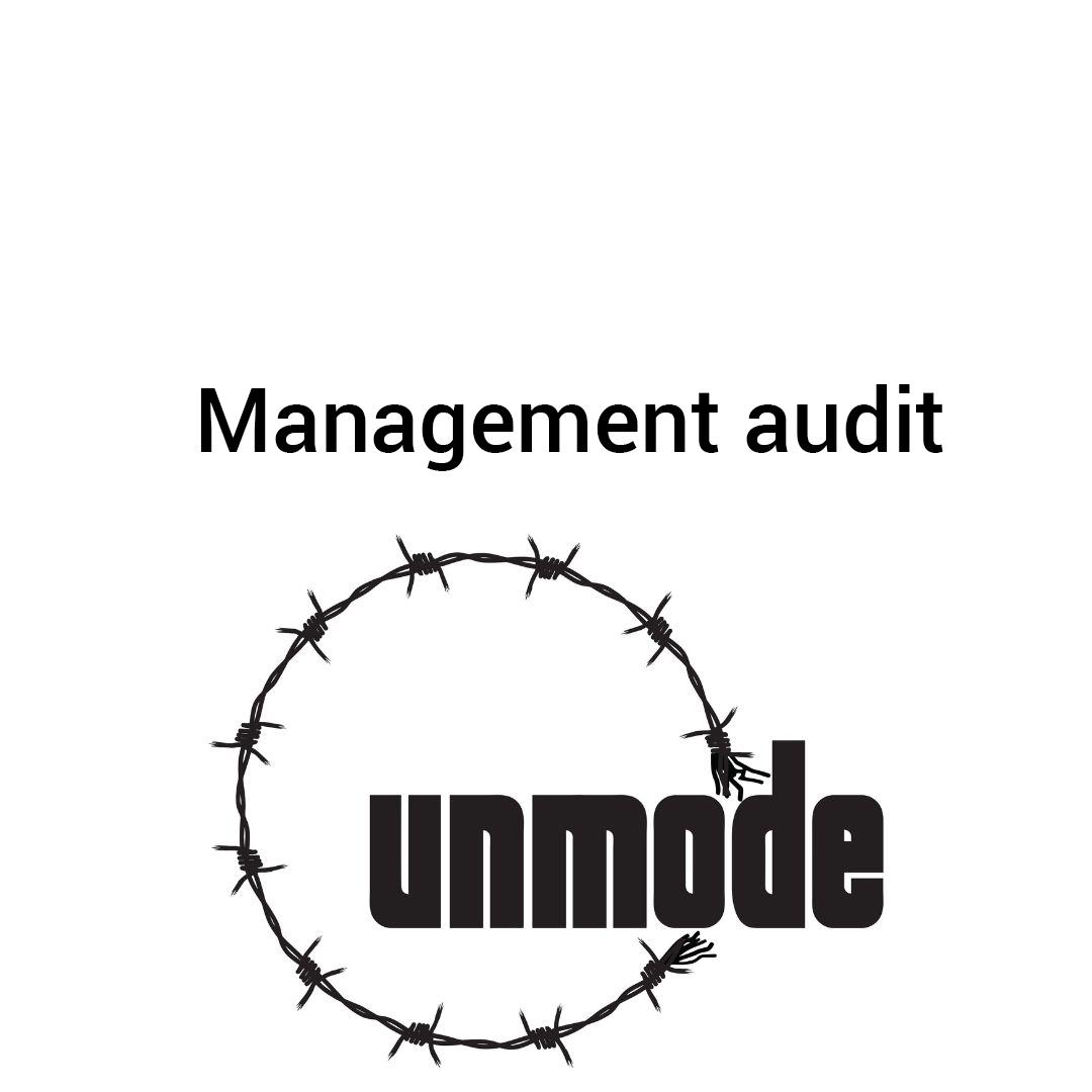 Management audit