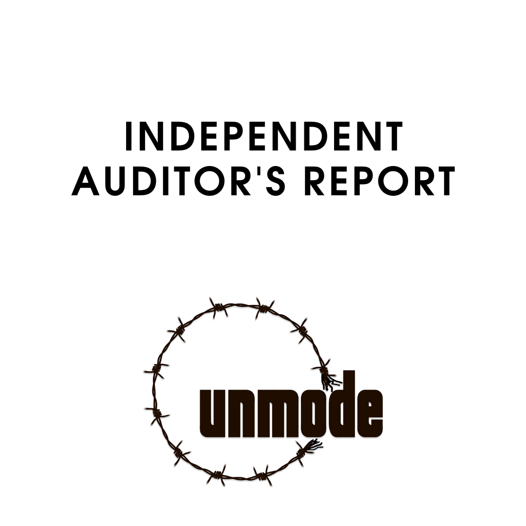 Independent Auditor's Report